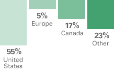 Breakdown of Guyana's origin of visitors